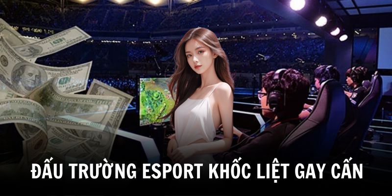 dau-truong-esport-u888-khoc-liet-dem-den-cac-tran-dau-gay-can